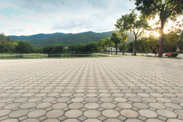 Best Driveway Paving Near Me  in Inglewood, CA